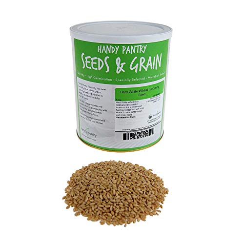 Handy Pantry Organic Whole Wheat Kernels Hard White Wheat Grain 1Lb Non-GMO | Heirloom Wheat Seeds for Hard White Wheat Berry Seeds for Sprouting Organic Wheatgrass Wheat Berry Bread Winter Wheat Seed