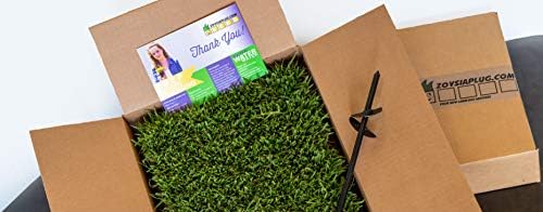 50 Zoysia Grass Plugs & Auger | Beginner's Pack