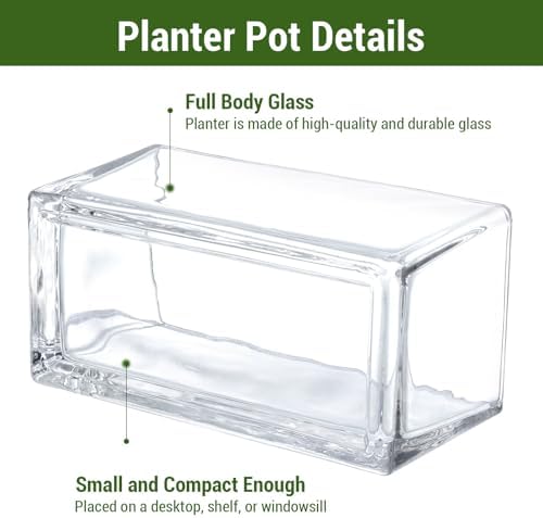 MyGift 7.8 Inch Modern Rectangular Glass Vase Trough Planter Terrarium | Clear Display Design, Tabletop Floral Centerpiece, Succulent Showcase