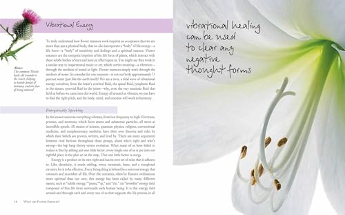 Flower Essences for Well-being: Energetic healing for health and harmony