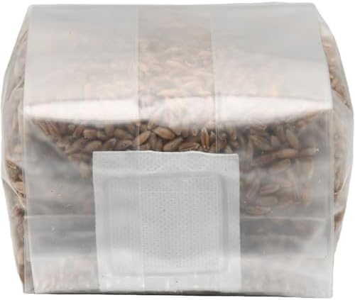 Six 1 Pound Bags of Sterilized Rye Berries Substrate in Mushroom Grow Bags