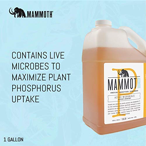 Mammoth Organic Bloom Booster | Mammoth P Organic Fertilizer Microbial Inoculant | 16% Proven Increase in Yield (250 ml)