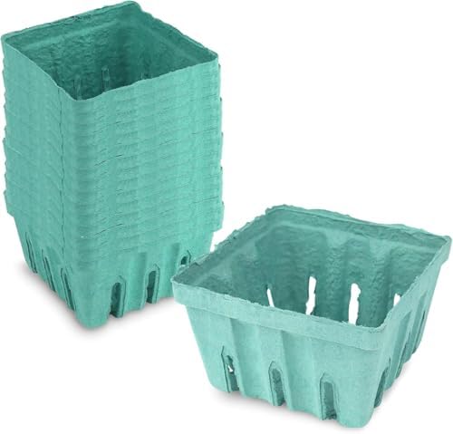MT Products Green Berry Basket 1 Quart - Molded Pulp Fiber Vented Produce Basket (Pack of 15) - Made in the USA