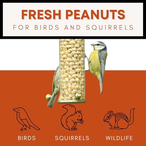Fresh Shelled Peanuts for Birds & Squirrels - Raw Wildlife Peanuts, No Mess Bird Seed, No Waste Bird Seed for Wild Birds & Backyard Squirrels (10lbs)