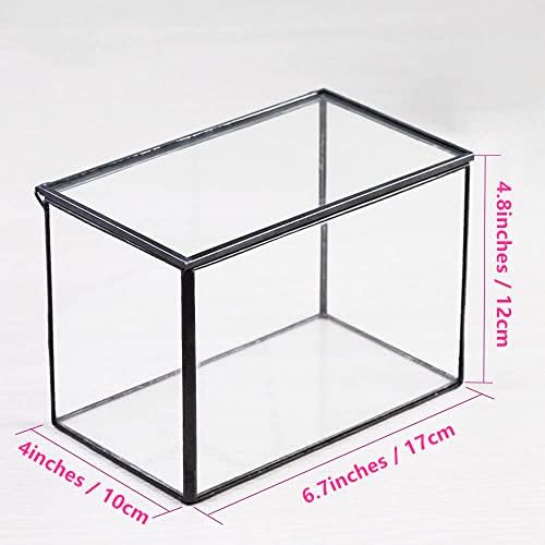 NCYP 6.7 x 4 x 4.8 Inch Small Glass Terrarium Planter with Lid, Clear Glass Box Container for Succulents, Air Plant, Moss, Ferns, Cactus