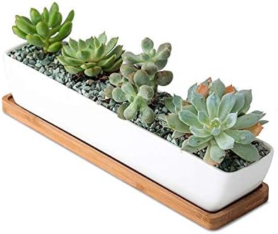 SeaStar White Rectangular Long Succulent Planter Pot, 11x2.16x1.75inch Modern Minimalist Ceramic Succulent Planter Pot with Saucer for Office, Desk