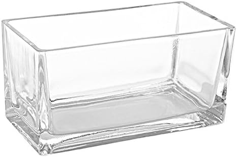 MyGift 7.8 Inch Modern Rectangular Glass Vase Trough Planter Terrarium | Clear Display Design, Tabletop Floral Centerpiece, Succulent Showcase