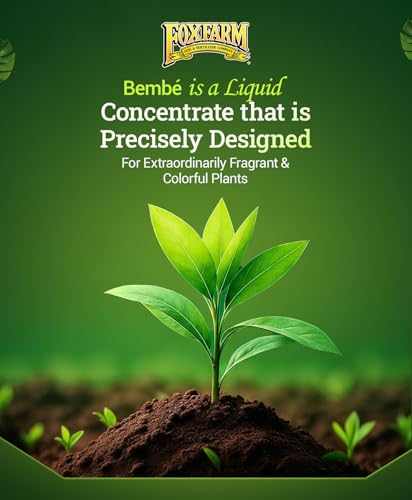 FoxFarm Bush Doctor Bembé Sweet & Dandy Liquid Plant Fertilizer - Complex Nutrient Blend - 0-1-3 PK Fertilizer for In-Ground & Hydroponic Gardens - 1 Quart