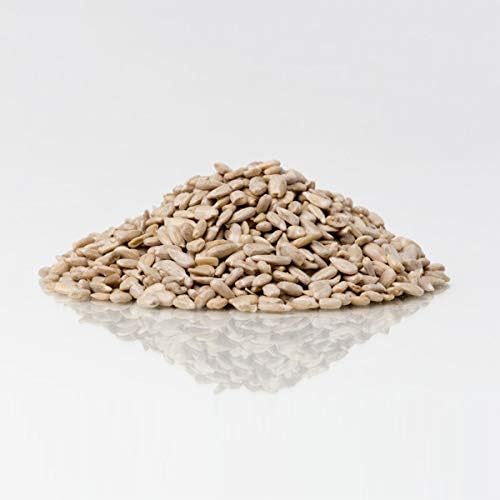 Sunflower Chips (Hearts) Medium Sized All Natural Wild Bird Food Birds Love (20)