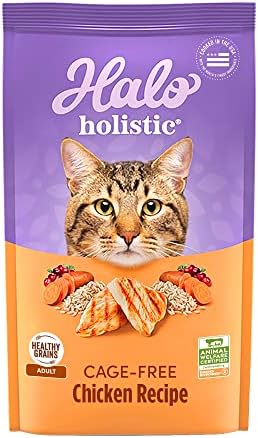 Halo Holistic Cage Free Chicken Cat Food, Healthy Grains Dry Cat Food, Complete Digestive Health, Kibble for Adult Cats, 6 lb Bag