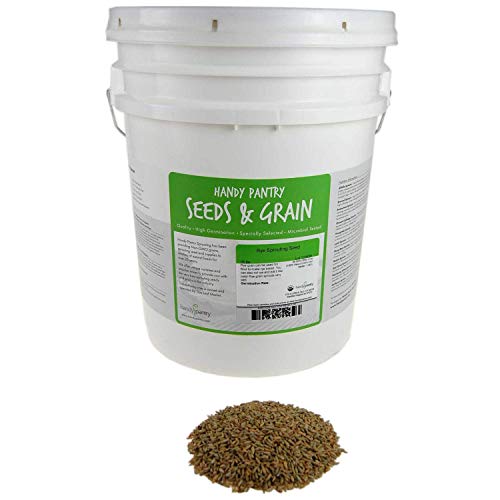 Handy Pantry 35 Lb Bulk Organic Rye Grain Seeds - Sprouting Rye Berries | Rye Seeds for RyeFlour, Meal, Pasta, Marble Rye Bread, Grain Berries