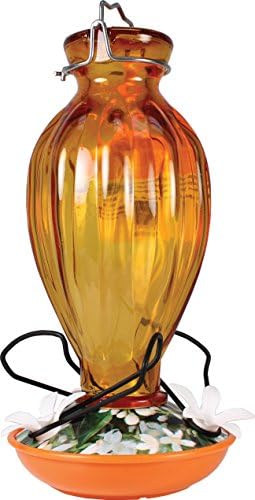 Fluted Oriole Feeder
