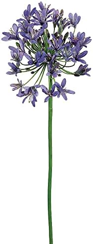 36" Agapanthus Spray Purple (Pack of 6)