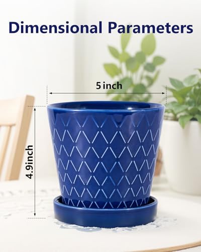 EFISPSS Ceramic Plant Pots, 5 Inch Planters with Drainage Holes and Ceramic Tray, Relief Design Flower Planter