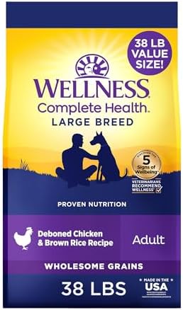 Wellness Complete Health Large Breed Puppy Dry Dog Food, Wholesome Grain Kibble, Natural, Chicken, Brown Rice and Salmon Meal Recipe, 30 lb Bag