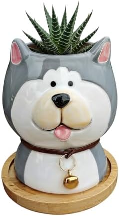 Cuteforyou Succulent Pots,Cute Animal Shaped Cartoon Ceramic Succulent Cactus Flower Planters -Plant Not Included，Cat