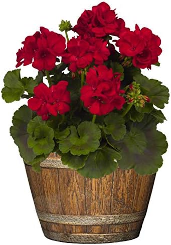 Classic Home and Garden Outdoor Round Whiskey Resin Flower Pot Barrel Planter, Distressed Oak Brown, 20.5" (Pack of 3)