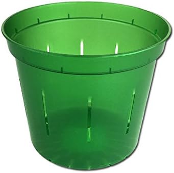 Orchid Pot - 6 inch Slotted Clear Orchid Pots - 3 Pack (Crystal Clear)