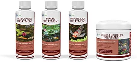 Aquascape 81041 Praziquantel Fish Treatment Liquid 250 g / 8.5 oz for Pond Water Feature