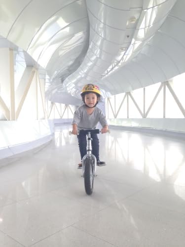 Strider 12 Pro, Aluminum Balance Bike for Kids Aged 1–5 Years, Silver | No-Pedal Pro Balance Bike, Ultralight Aluminum Frame, Adjustable Seat, Never-Flat Foam Rubber Tires, Easy Assembly