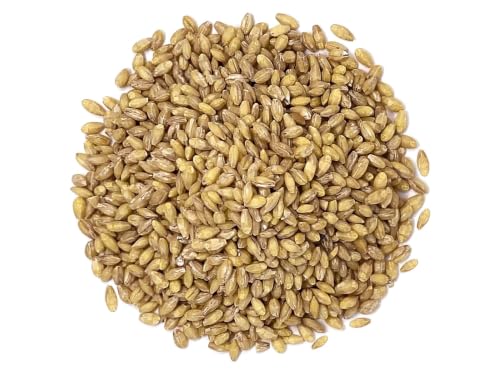 Food to Live Organic Hulled Barley, 15 Pounds – Non-GMO, 100% Whole Grain, Kosher, Vegan, Bulk. Suited for Home Brewing, Grinding. High in Fiber. Great for Chili, Hot Cereal, Salads, Soup.