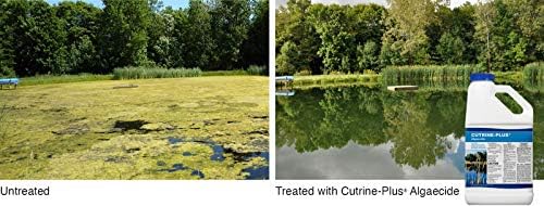 All-in-One Vegetation Control Bundle - Knock Down Algae Effectively & Control Weeds Systemically (Cutrine Plus + Sonar RTU)