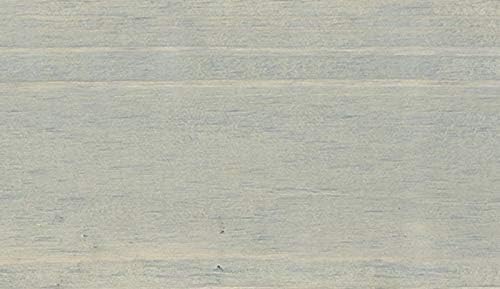 #1 Deck Premium Wood Stain - Semi-Transparent, Water Based, Sealer in One - 1 Gallon