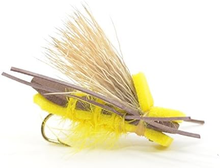 The Fly Fishing Place Bitterroot River Foam Hopper Fly Fishing Flies Assortment - 12 Flies - 2 Each of 6 Trout Flies with Fly Box