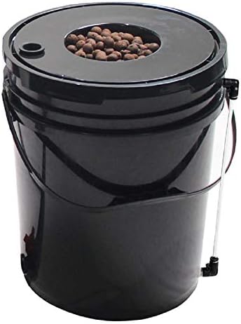 Grow1 Deep Water Culture 5 Gallon Complete Kit - DWC Hydroponic System with Air Pump