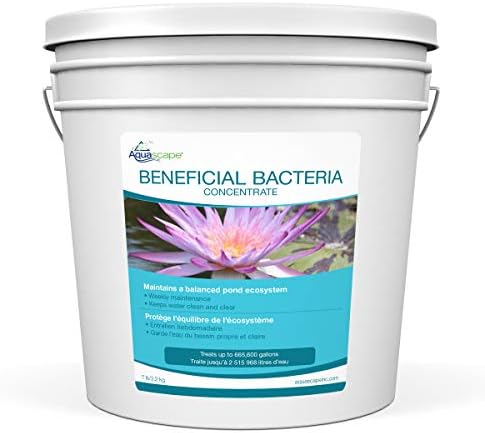 Aquascape Dry Beneficial Bacteria for Pond and Water Features, 8.8 Ounce (Pack of 1), 98948 , white
