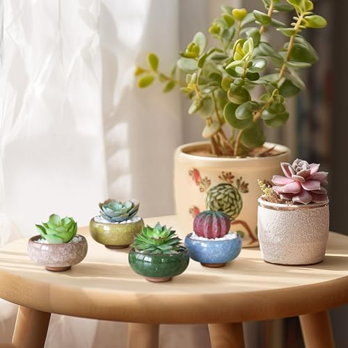T4U 2.5 Inch Small Ceramic Succulent Planter Pot with Drainage Hole Set of 6, Ice Crack Glaze Plant Container for Cactus, Gardening Plant Gifts for Women Mom Aunt Home Office Decor | Cactus planters set, indoor herb garden, bonsai tree starter, tabletop…