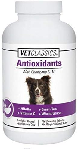 Coenzyme Q-10 Antioxidant Dog Supplement – Pet Health Supplement for Dogs – Supports Overall Dog Wellness, Aging – Includes Green Tea, Vitamin C
