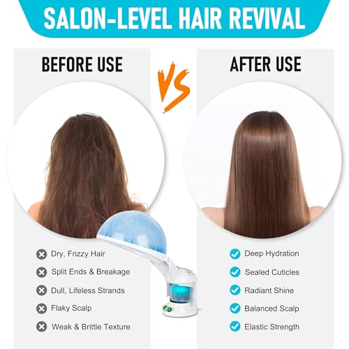 Ionic Nano Mist 2 in 1 Hair Face Steamer