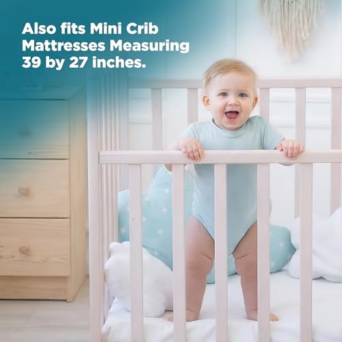 PlushDeluxe Bamboo Waterproof Mattress Protector, Queen Size, Ultra Soft