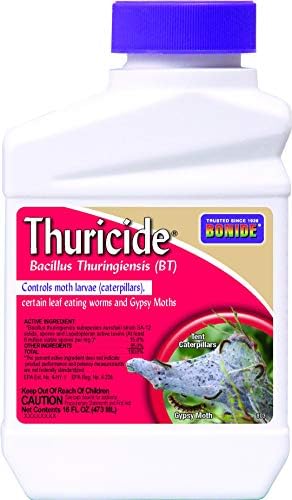 THURICIDE BT CONC 16OZ