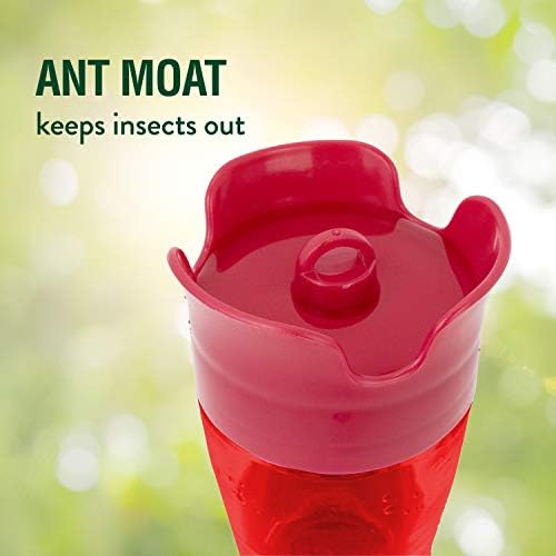Perky-Pet Red Pinch-Waist Plastic Hummingbird Feeder, 8 oz Capacity | Built-in Bee Guards and Ant Moat for Outdoor Bird Feeding Station and Backyard Wildlife, Hummingbird Feeders for Outdoors