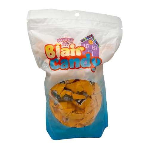 Milk Chocolate Peanut M&Ms Fun Sized Individual Bags - 3LB Resealable Stand Up Bag (approx. 70 pieces) - Bulk Milk Chocolate Bulk Filler Candies