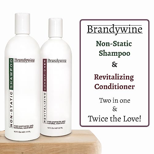 Anti Static Shampoo & Revitalizing Conditioner 8 Ounce, Value Pack Bundle 2 items
