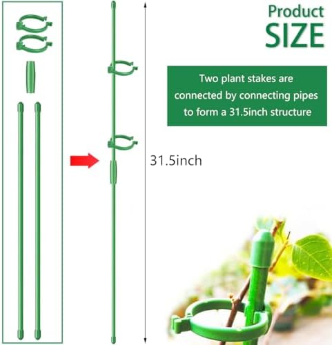 Belit 8 Pack Plant Supports for Small Plants, Garden Flowers Green Plant Support Ring, Planter Support Ring for Schlumbergera, Clivia, Succulents