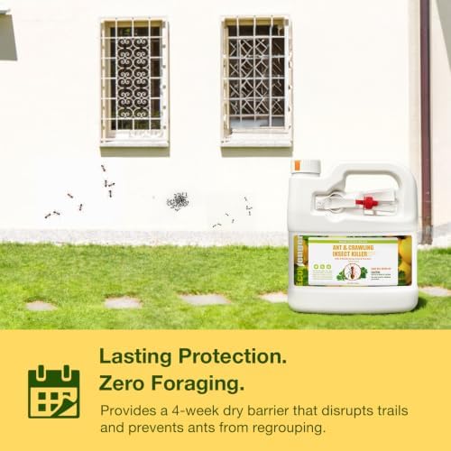 EcoVenger By EcoRaider Ant Killer & Crawling Insect Killer, 16 OZ Ready to Use, Indoor & Outdoor, Kills & Repels, Lasting Prevention, Natural & Non-Toxic Plant Based Formula, Pleasant Citrus Scent