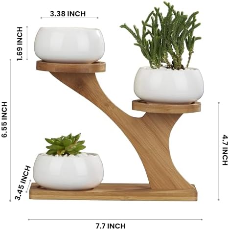 FLOWERPLUS Planter Pots Indoor