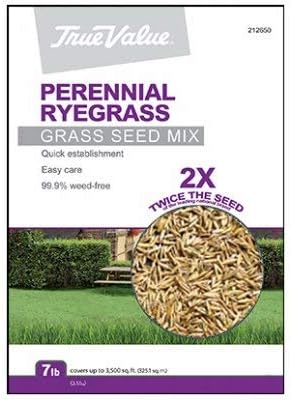 BARENBRUG USA TVPRG7 Tv 7 lb Peren Rye Seed