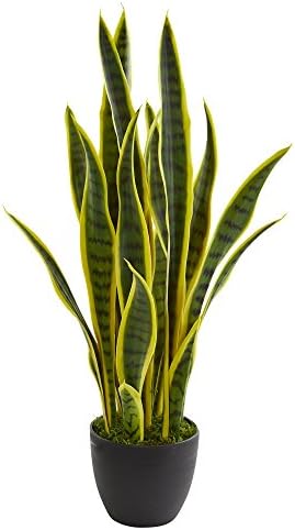 Nearly Natural 26 in. Sansevieria Artificial Silk Plants, Green