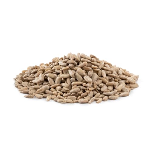 NUTS U.S. - Sunflower Kernels | Raw | A Rich Source of Protein | USA Grown and Packed in Resealable Bags!!! (1 LB)