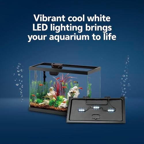 Aqueon Aquarium Fish Tank Starter Kit with LED Lighting 10 Gallon Fish Tank