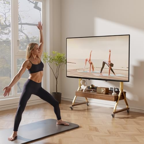 AnywaysWood TV Cart Rolling TV Stand with Wheels for Most 40-75" TVs up to 300lbs Height Adjustable, Tilting, Tall Heavy Duty TV Stand with 2 Drawers Power Strip, for Living Room