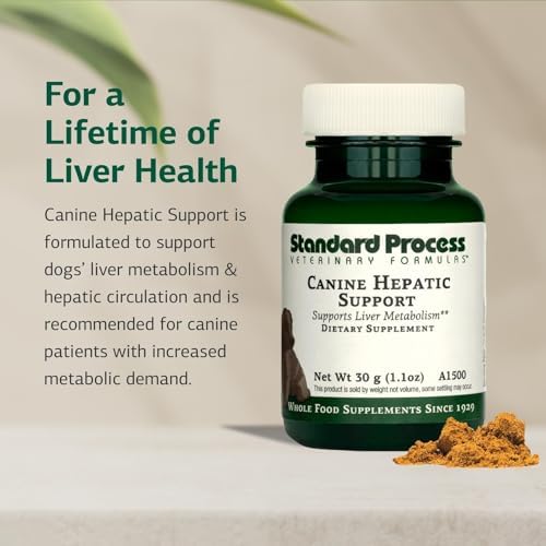 Standard Process Canine Hepatic Support - Dog Supplement to Aid Liver Health - Hepatic Immune Function & Liver Metabolism Support Supplement - Powder Supplement for Dogs - 110 g