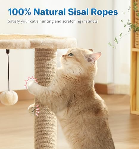 Made4Pets Kitten Toy Scratching Post for Indoor Cats with Ball Track