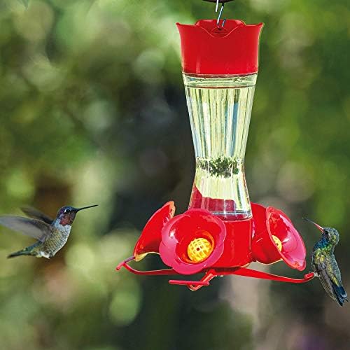 Perky Pet 203CPBN 8 Oz Clear Glass Hummingbird Feeder Set of 2
