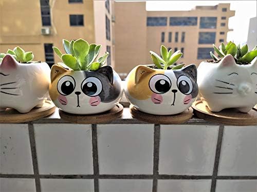 Cuteforyou Succulent Pots,Cute Animal Shaped Cartoon Ceramic Succulent Cactus Flower Planters -Plant Not Included，Cat